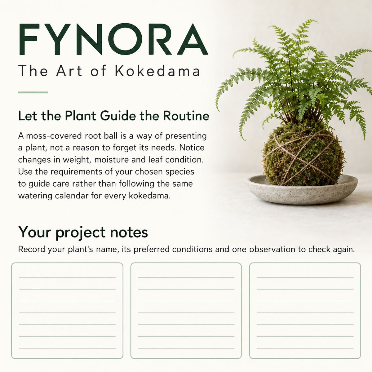 The Art of Kokedama